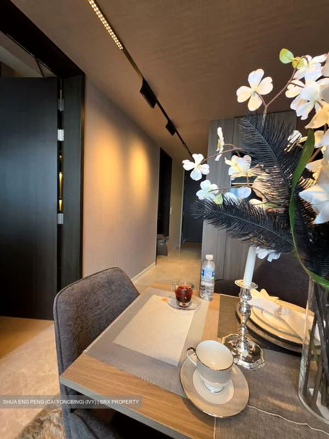 Irwell Hill Residences (D9), Apartment #578709271